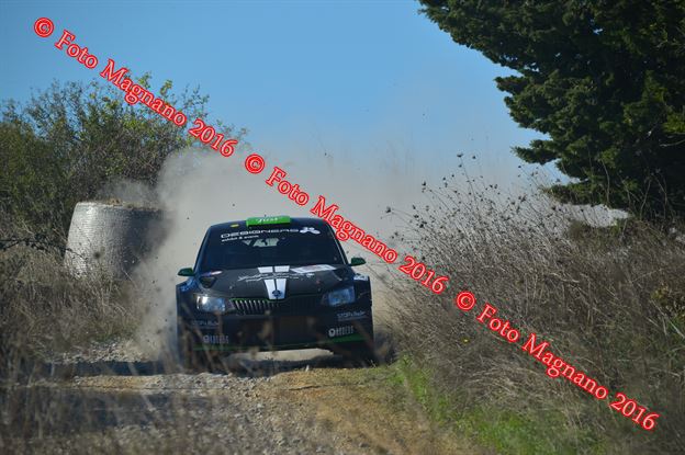 DSC_1365.JPG